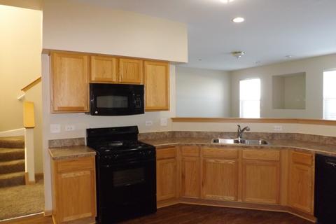 6502 Gray Hawk Dr, Matteson, IL 60443 photo 9