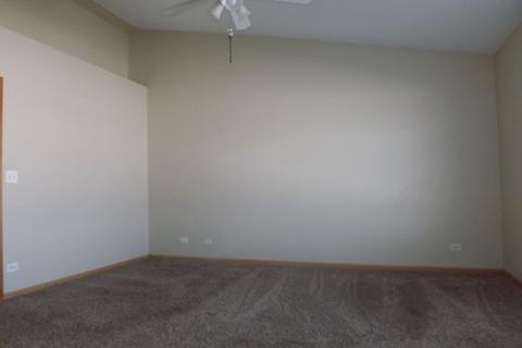 6502 Gray Hawk Dr, Matteson, IL 60443 photo 12