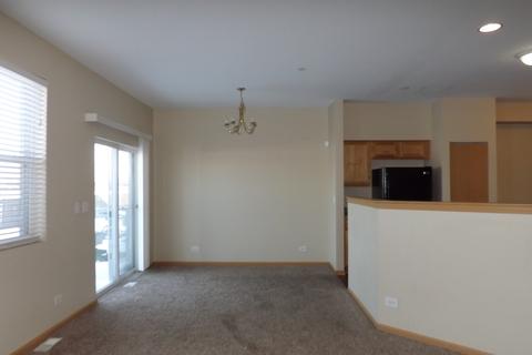 6502 Gray Hawk Dr, Matteson, IL 60443 photo 5