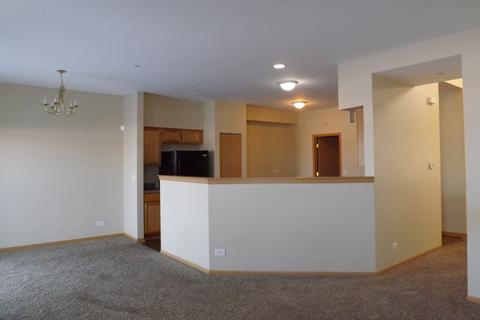 6502 Gray Hawk Dr, Matteson, IL 60443 photo 6