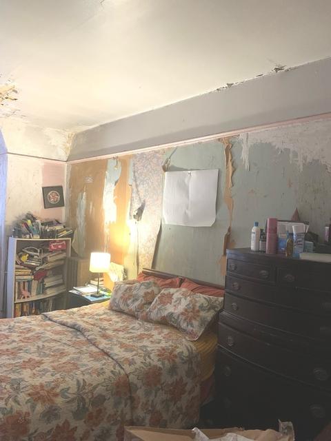 434 E 46th St, Chicago, IL 60653 photo 12