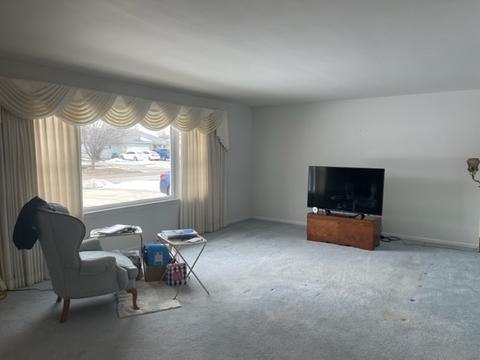 1013 E 7th St, Lockport, IL 60441 photo 3