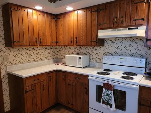 206 Franks Dr, Philo, IL 61864 photo 14