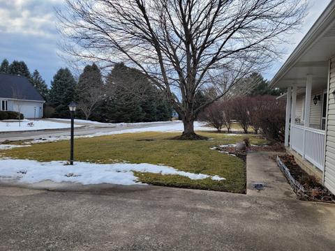 206 Franks Dr, Philo, IL 61864 photo 3