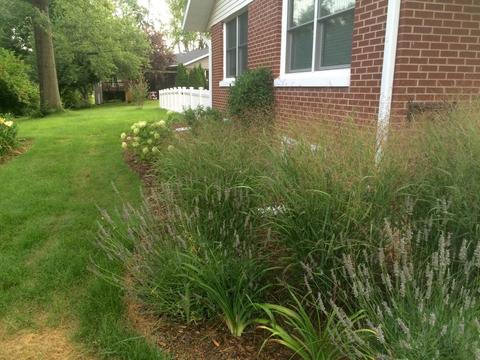 609 W Maple Dr, Eureka, IL 61530 photo 38