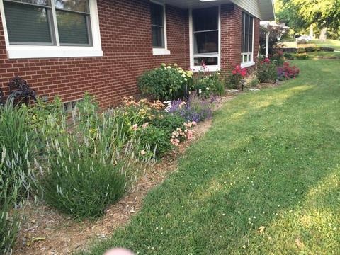 609 W Maple Dr, Eureka, IL 61530 photo 40