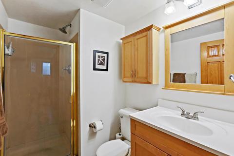 473 Sequoia Trl, Roselle, IL 60172 photo 17