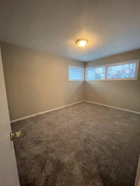 1917 E York Ln, Wheaton, IL 60189 photo 8
