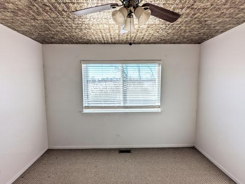 5331 W Orchard Trl, Monee, IL 60449 photo 12