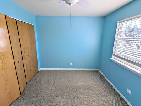 5331 W Orchard Trl, Monee, IL 60449 photo 11