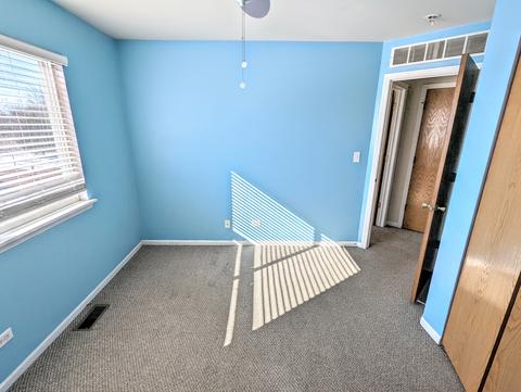 5331 W Orchard Trl, Monee, IL 60449 photo 10