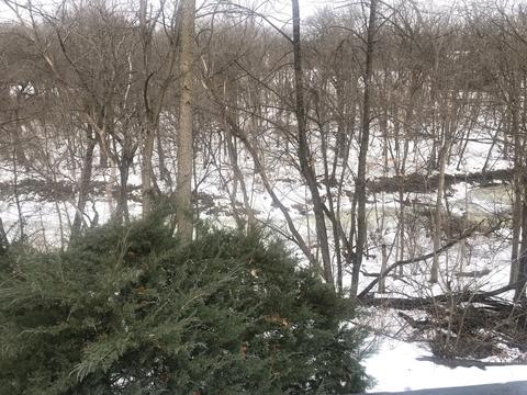 124 Briar Ln, Morris, IL 60450 photo 22