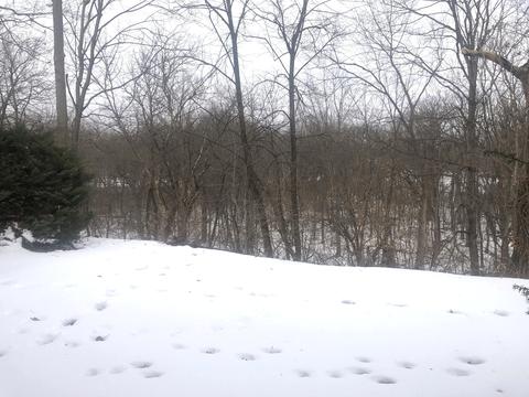124 Briar Ln, Morris, IL 60450 photo 21