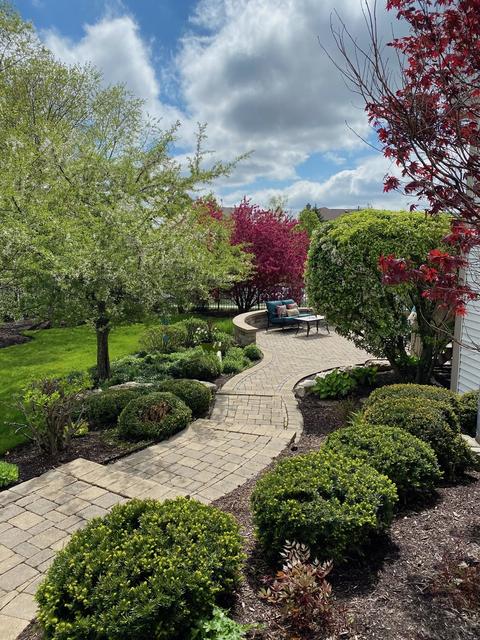 7 Camberwell Ct, Algonquin, IL 60102 photo 4