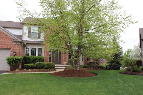 7 Camberwell Ct, Algonquin, IL 60102 photo 3