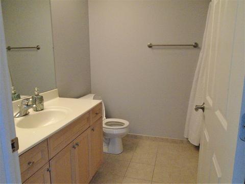 1277 E Thacker St #203, Des Plaines, IL 60016 photo 9