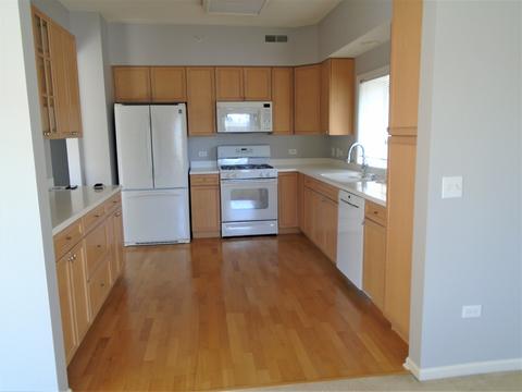 1277 E Thacker St #203, Des Plaines, IL 60016 photo 2