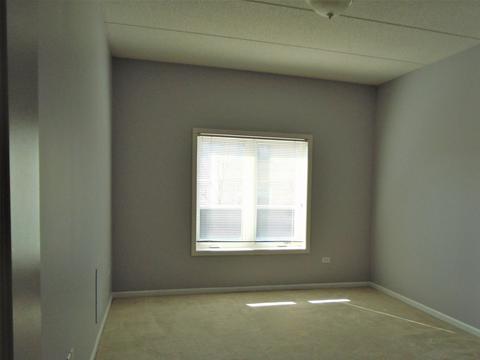 1277 E Thacker St #203, Des Plaines, IL 60016 photo 15
