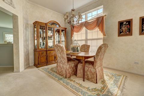 21557 W Larch Dr, Plainfield, IL 60544 photo 6