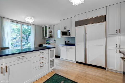 1203 E 50th St, Chicago, IL 60615 photo 14