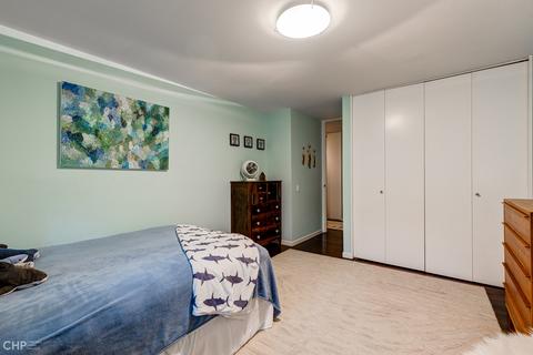 1203 E 50th St, Chicago, IL 60615 photo 31