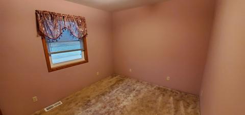 2116 N Everett St, Mount Morris, IL 61054 photo 19