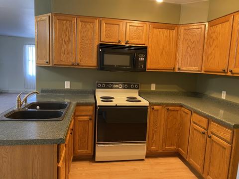 203 5th St, Cedar Point, IL 61316 photo 3