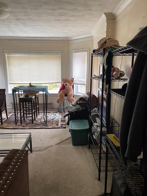 850 E 88th Pl, Chicago, IL 60619 photo 24