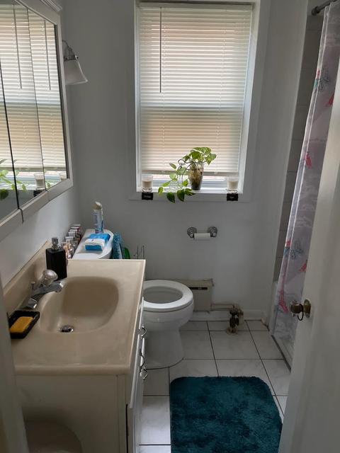 850 E 88th Pl, Chicago, IL 60619 photo 18