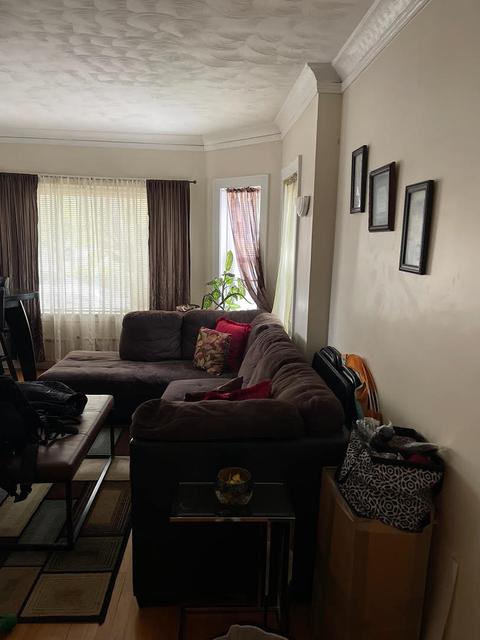 850 E 88th Pl, Chicago, IL 60619 photo 16