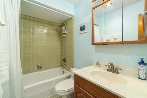 421 Simone Dr, Des Plaines, IL 60016 photo 22