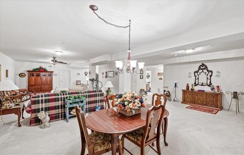 1850 Avon Dr, Hoffman Estates, IL 60192 photo 26