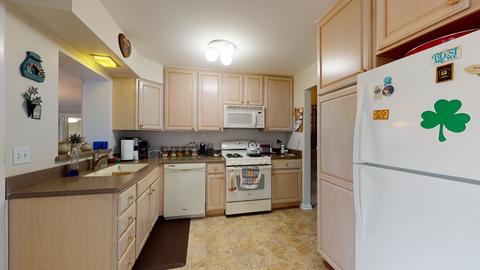 503 Hatlen Ave, Mount Prospect, IL 60056 photo 13