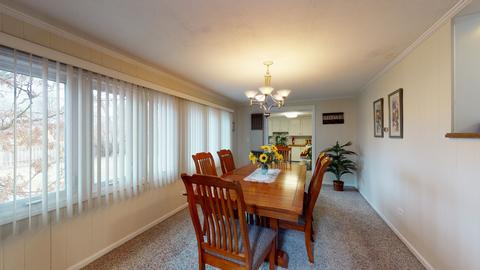 503 Hatlen Ave, Mount Prospect, IL 60056 photo 15