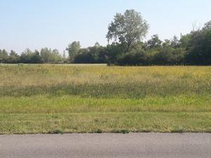 26235 Sandy Ln, Monee, IL 60449 photo 1