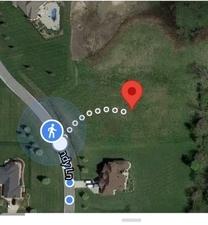 26235 Sandy Ln, Monee, IL 60449 photo 4