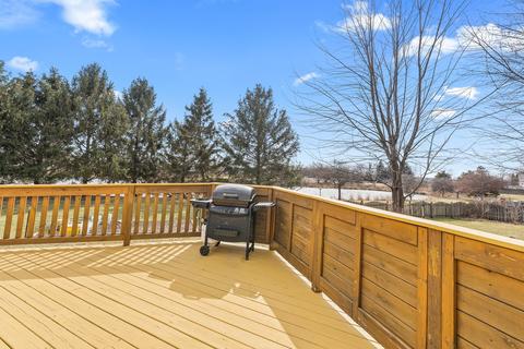 21061 W Covington Dr, Plainfield, IL 60544 photo 30