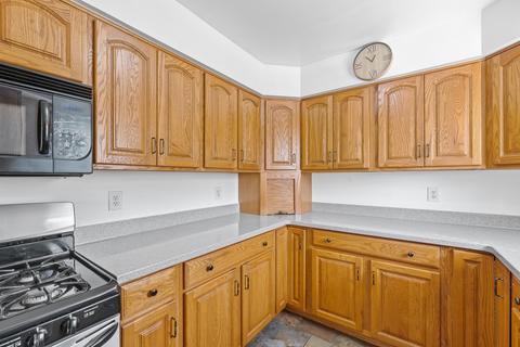 21061 W Covington Dr, Plainfield, IL 60544 photo 14
