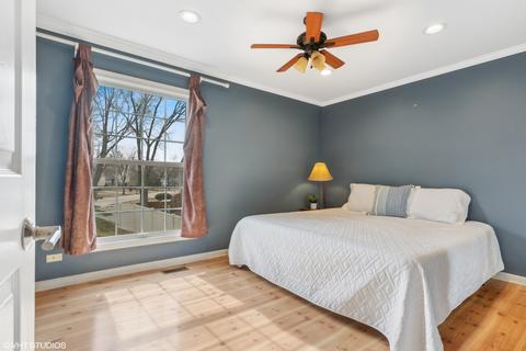 971 Longstreet Dr, Bartlett, IL 60103 photo 9