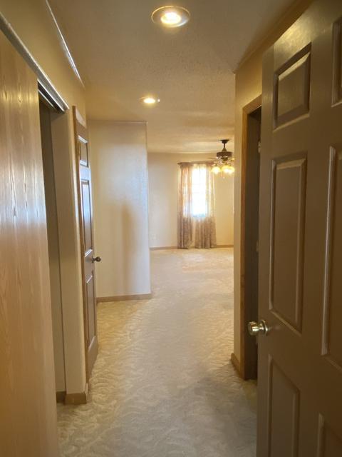 110 E Caroline St, Spring Valley, IL 61362 photo 11