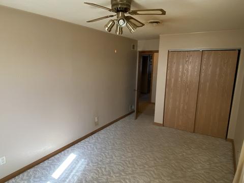 110 E Caroline St, Spring Valley, IL 61362 photo 12