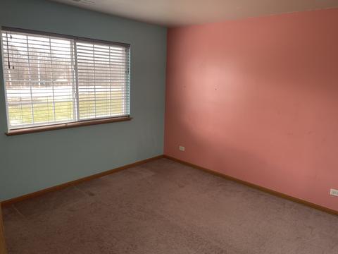 285 Alpine Dr, Gilberts, IL 60136 photo 16