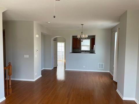 202 Laurel Ave, Des Plaines, IL 60016 photo 7