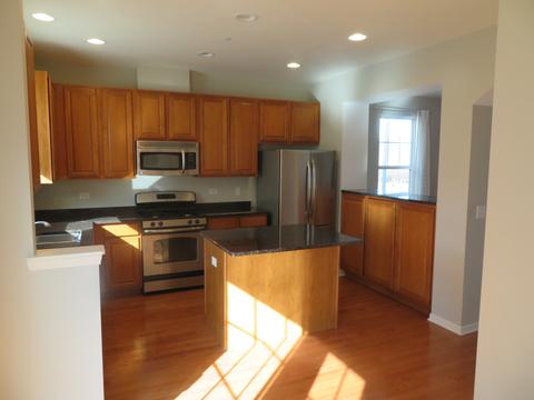 202 Laurel Ave, Des Plaines, IL 60016 photo 3