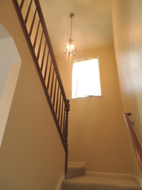 202 Laurel Ave, Des Plaines, IL 60016 photo 9