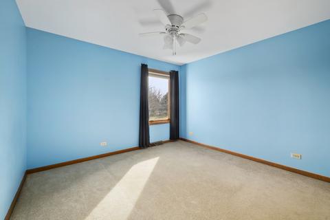 13037 Cathy Ln, Plainfield, IL 60585 photo 24