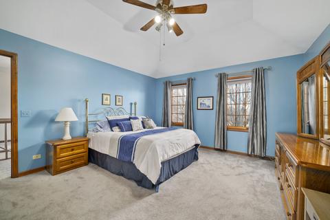 13037 Cathy Ln, Plainfield, IL 60585 photo 19