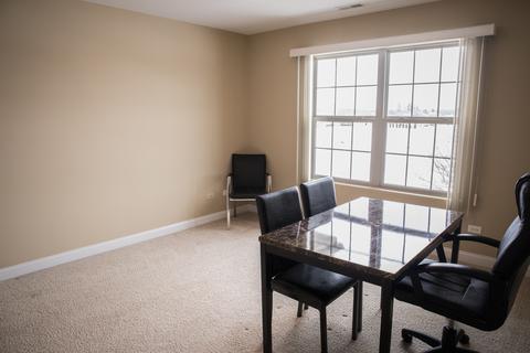 3021 Eros Dr, Olympia Fields, IL 60461 photo 29