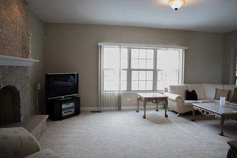 3021 Eros Dr, Olympia Fields, IL 60461 photo 7