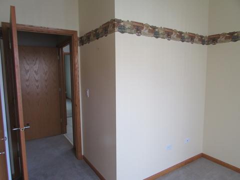 21362 W Juniper Ln, Plainfield, IL 60544 photo 7